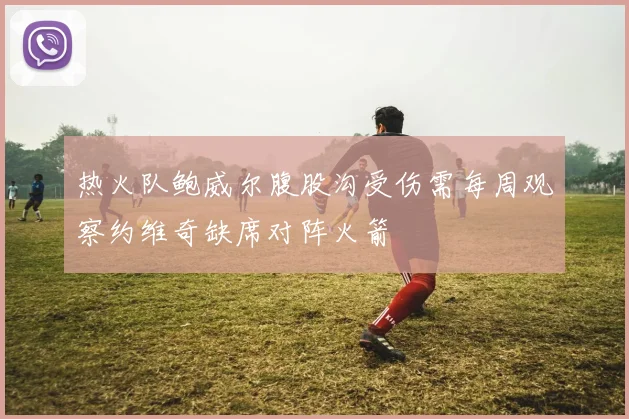 热火队鲍威尔腹股沟受伤需每周观察约维奇缺席对阵火箭