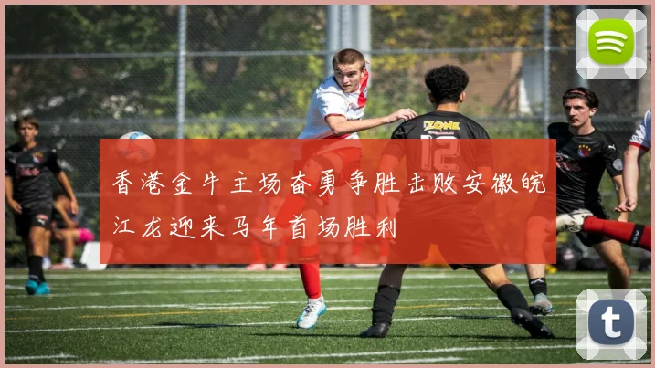 香港金牛主场奋勇争胜击败安徽皖江龙迎来马年首场胜利