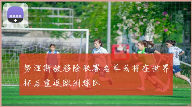 努涅斯被移除联赛名单或将在世界杯后重返欧洲球队